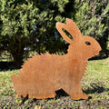 Hase
