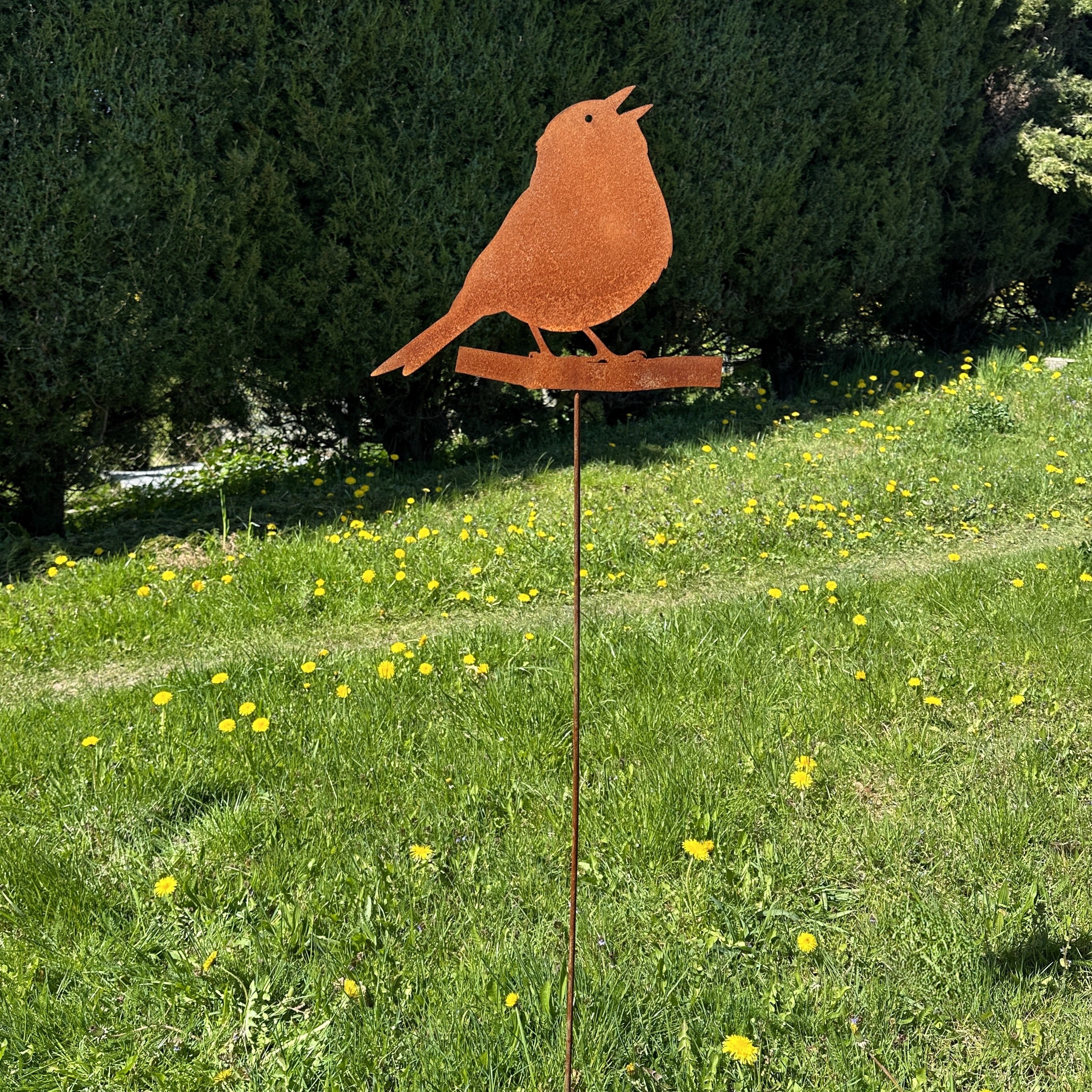 Vogel „Singend“