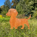Hund „Dackel schlicht”