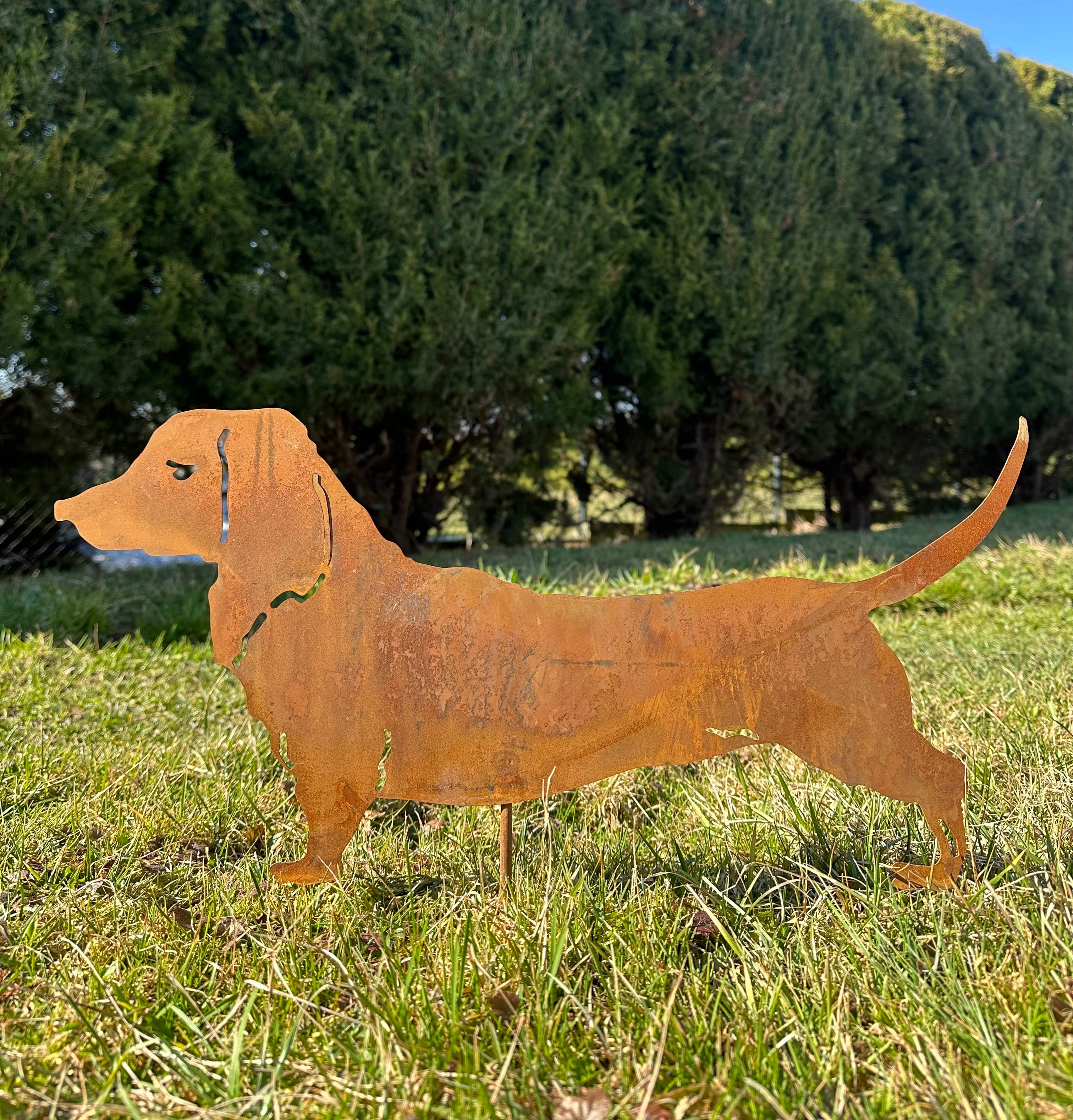 Hund „Dackel”