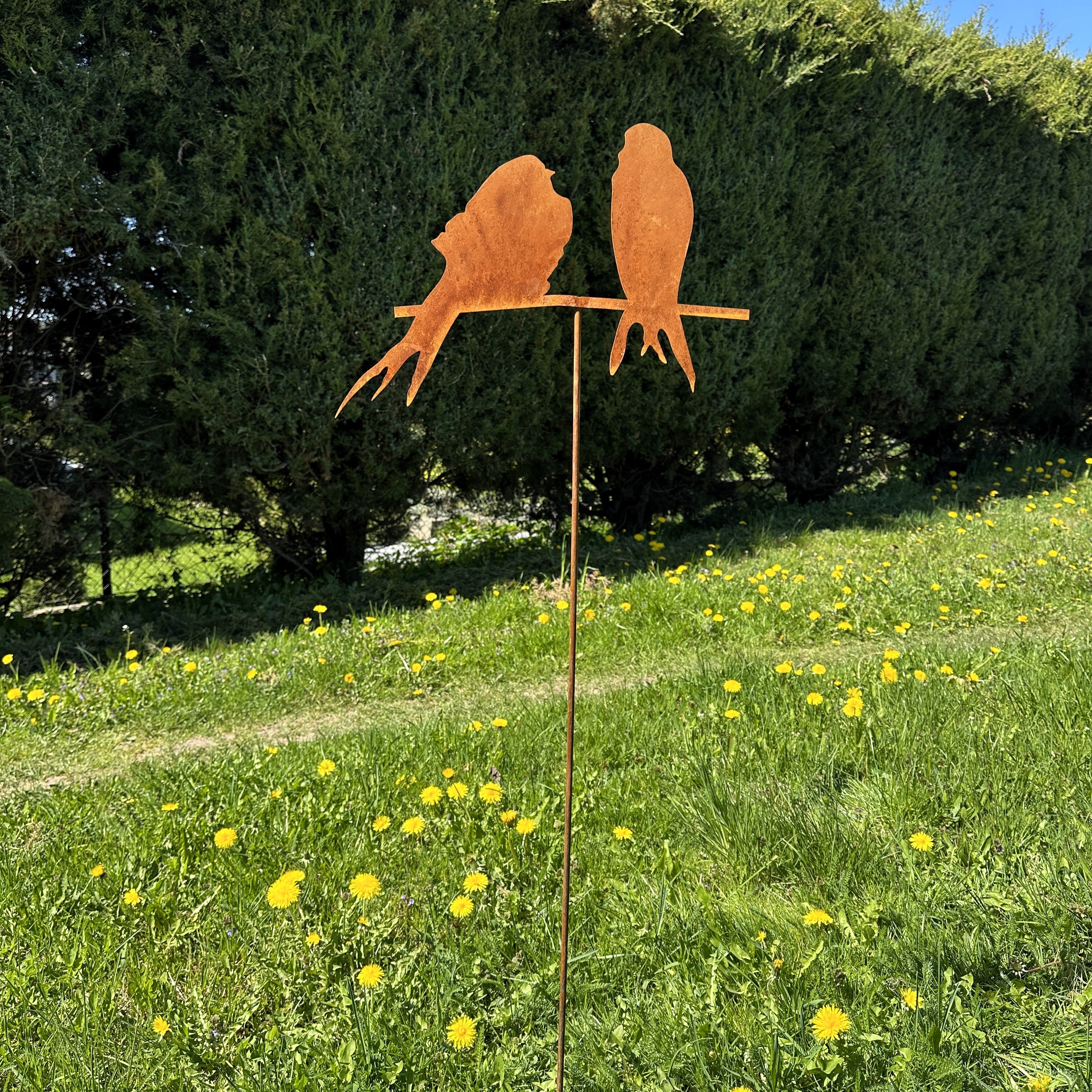 Vögel „Blick“