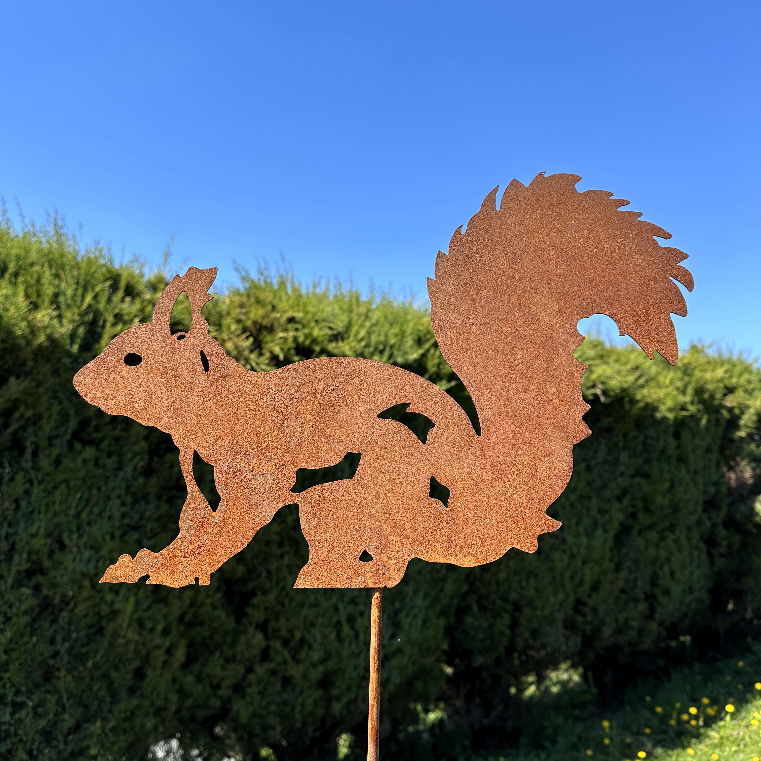 Eichhörnchen „laufend” auf Stab
